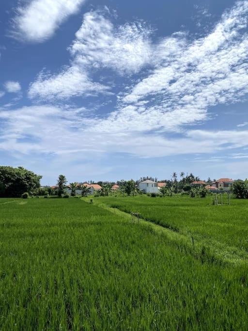 Villa Vespa Lovina المظهر الخارجي الصورة